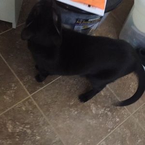 Meet your Posher, Fin